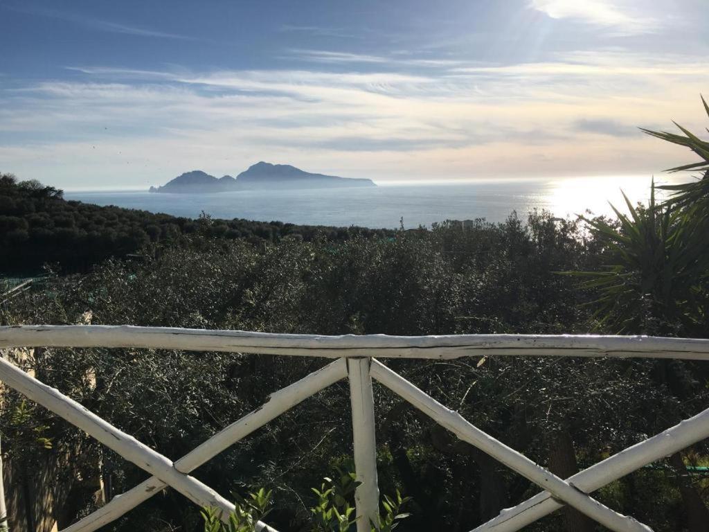 Villa Manu Massa Lubrense Zewnętrze zdjęcie