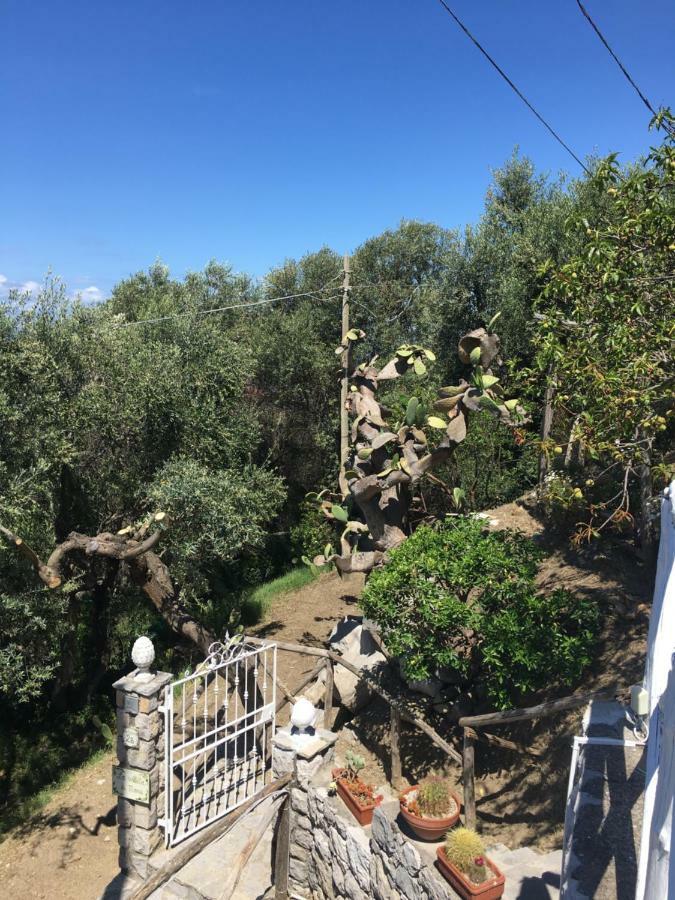 Villa Manu Massa Lubrense Zewnętrze zdjęcie